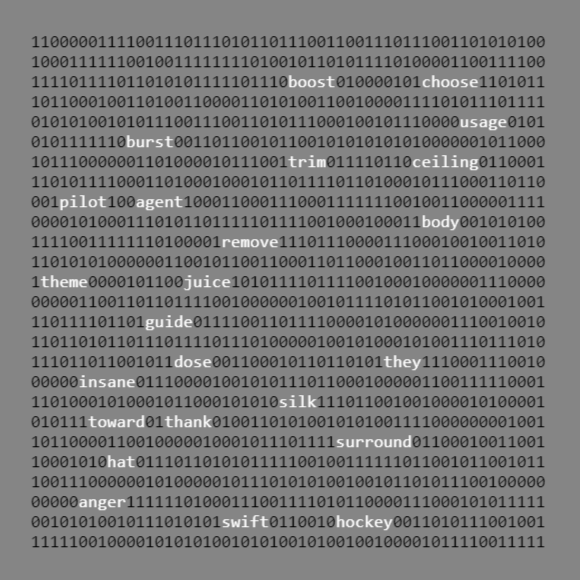 Bitcoin ordinal collection. An inscription as a bunch of digits shaped as square with BIP39 words randomly showed among them